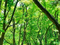 -玲珑塔公园