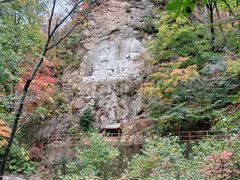 -天女山森林公园