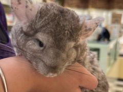 -龙猫仔乐园(惠福东路店)