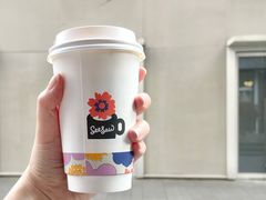 -Seesaw Coffee(上生新所店)
