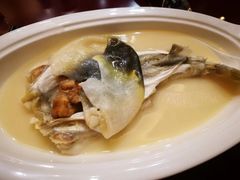 -民族饭店-四季餐厅