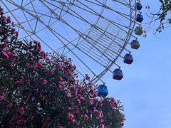 -南昌之星摩天轮