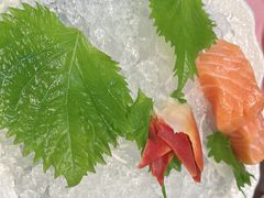 -黑松白鹿(金融街店)