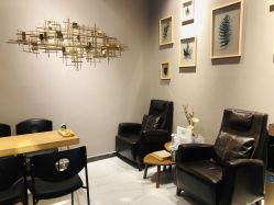 -三只熊皮肤管理中心