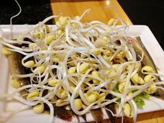 -一斗火锅·招财羊毛肚(泰吉滨江店)