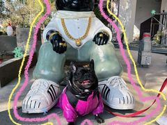 -卢小厨私房菜(长兴店)