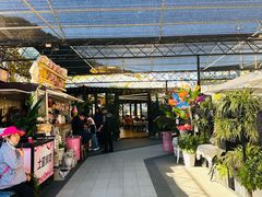 -京北渔家傲