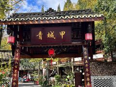 -青城甲(青城山店)