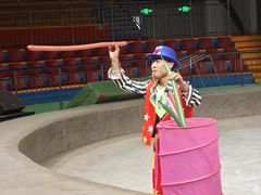 -安徽大青山野生动物世界