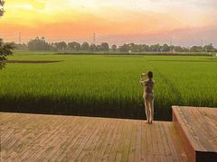 -中国天府农业博览园