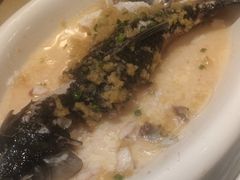 姜茸蒸泉水鲩-勝記酒家·37年老字号·经典粤菜(荔枝公园店)