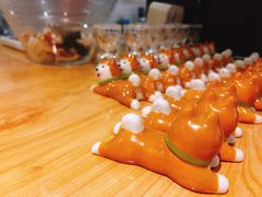 -柴务处·柴犬主题狗咖