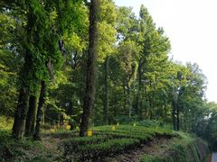 -旅马餐厅(茅家埠店)