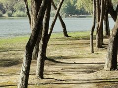 -长广溪湿地公园