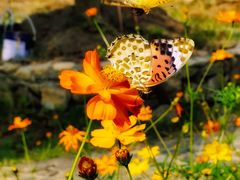 -宁波浙东大竹海景区