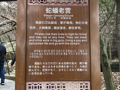 -蛇蟠岛
