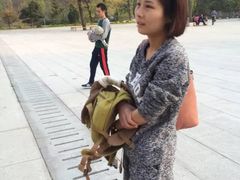 -沂蒙山旅游区云蒙景区(蒙山国家森林公园)