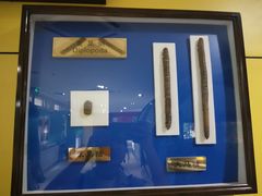 -上海昆虫博物馆