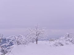 -瓦屋山景区