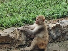 -石家庄市动物园