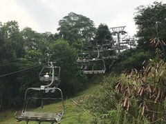 -圣淘沙天际线斜坡滑车