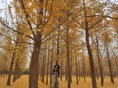 -汉景帝阳陵博物院