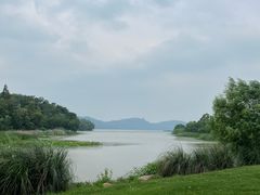 -东湖落雁景区