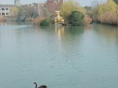 -南通濠河风景名胜区