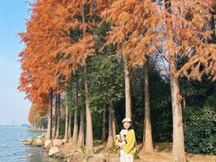 -长广溪湿地公园