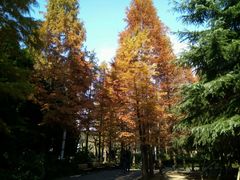 -苏州河梦清园环保主题公园