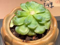 -艺水间水汇