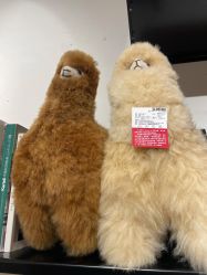 -国际蓝孩(万象天地店)