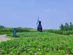 -宁波杭州湾国家湿地公园