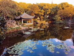 -叶家花园