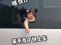 -锅来乐地锅鸡(安亭店)