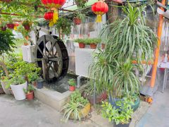 -晓琦农家菜馆·地道农家菜