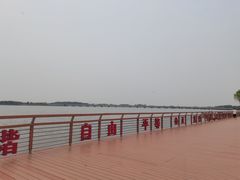 -丁香湖公园