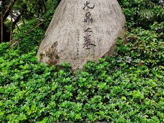 -十九路军淞沪抗日阵亡将士陵园