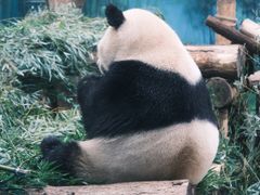 -杭州动物园