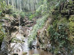 -大余丫山旅游度假区