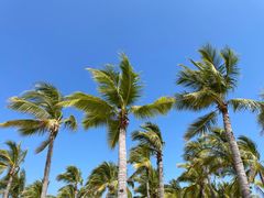 -三亚西岛海洋文化旅游区