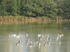 -艾溪湖湿地公园