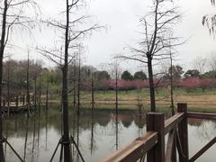 -同里国家湿地公园