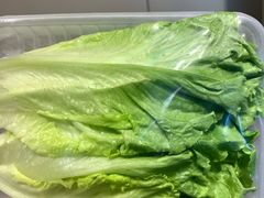 生菜-锅圈食汇火锅烧烤食材超市(杜桥店)