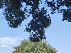 -风云岭森林公园