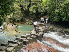 -广州白江湖森林公园