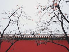 -故宫博物院(故宫)