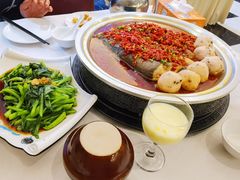 -光明渔港(海悦天地店)
