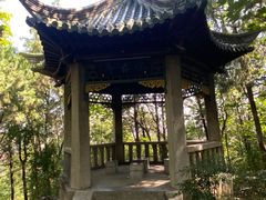 -云龙山