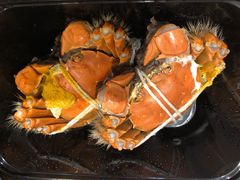 -黄记大闸蟹专卖店·活蟹·醉蟹
